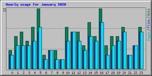 Hourly usage for January 2020