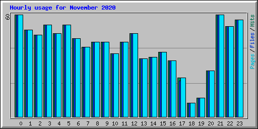 Hourly usage for November 2020