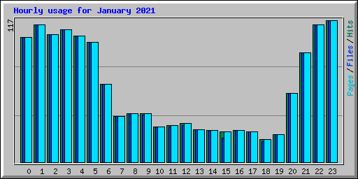 Hourly usage for January 2021