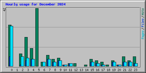 Hourly usage for December 2024