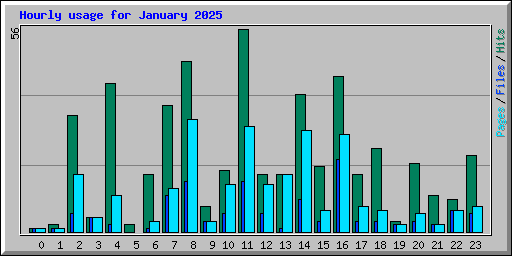 Hourly usage for January 2025