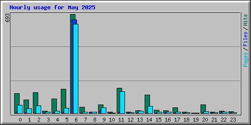 Hourly usage for May 2025