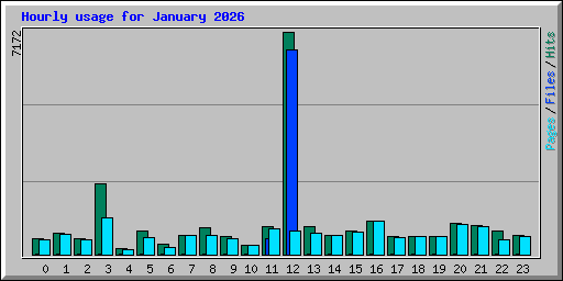 Hourly usage for January 2026