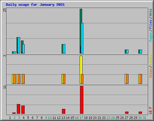 Daily usage for January 2021
