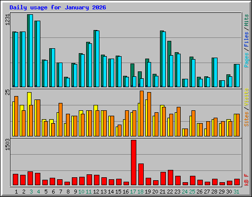 Daily usage for January 2026