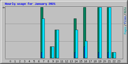 Hourly usage for January 2021