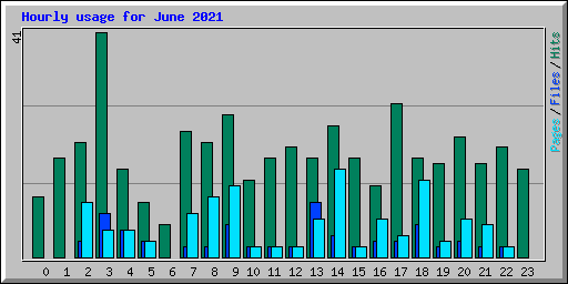 Hourly usage for June 2021