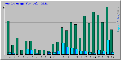 Hourly usage for July 2021