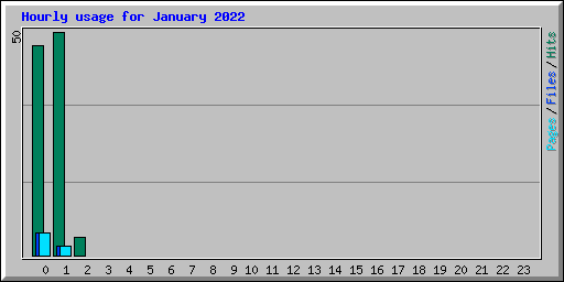 Hourly usage for January 2022