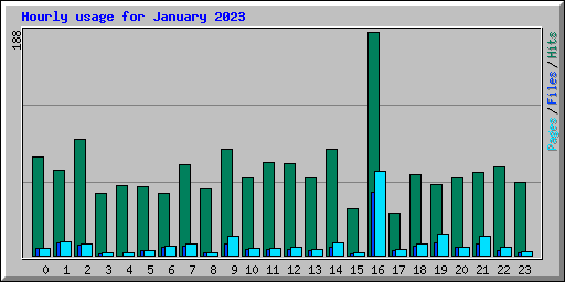 Hourly usage for January 2023