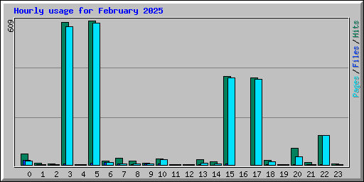 Hourly usage for February 2025