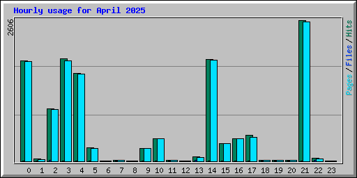Hourly usage for April 2025