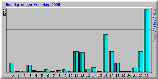 Hourly usage for May 2025