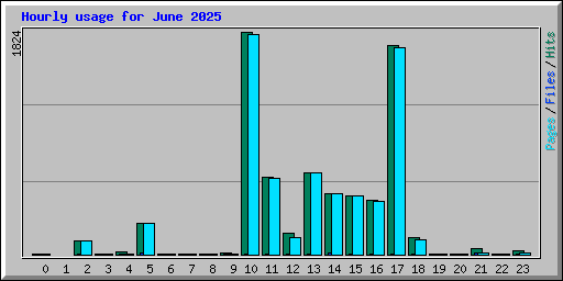 Hourly usage for June 2025