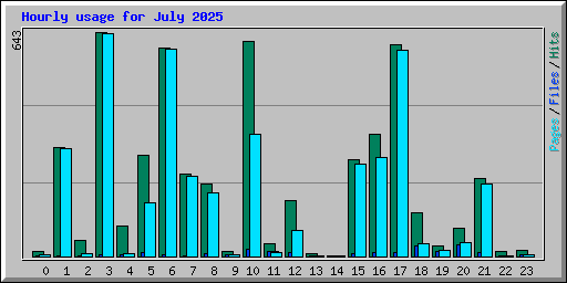 Hourly usage for July 2025