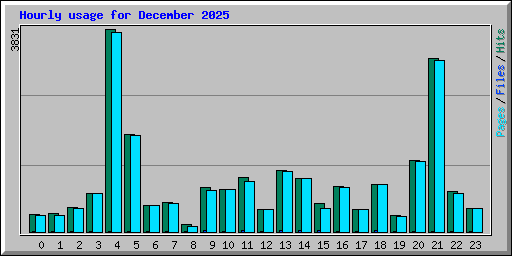 Hourly usage for December 2025