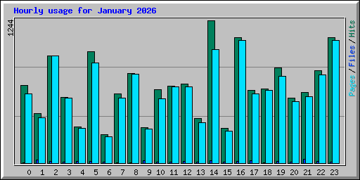 Hourly usage for January 2026