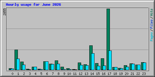 Hourly usage for June 2026