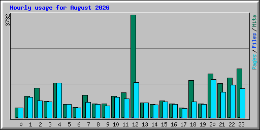 Hourly usage for August 2026