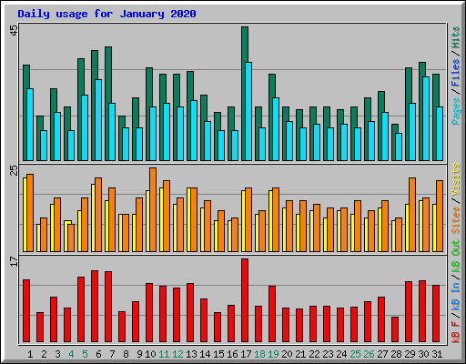 Daily usage for January 2020