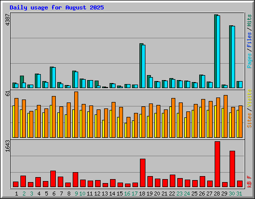 Daily usage for August 2025