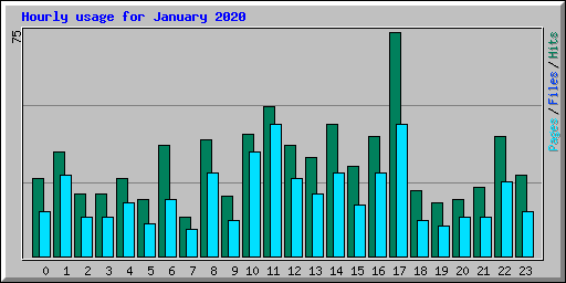 Hourly usage for January 2020