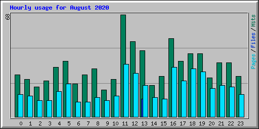 Hourly usage for August 2020
