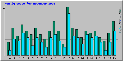Hourly usage for November 2020