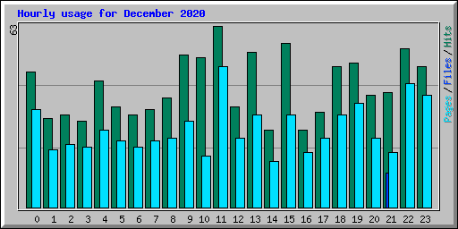 Hourly usage for December 2020