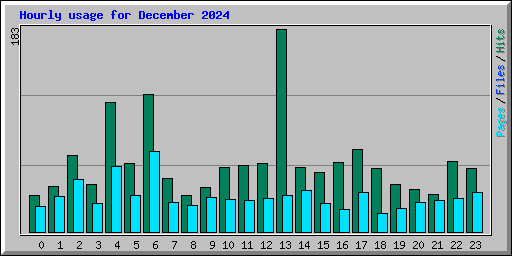 Hourly usage for December 2024