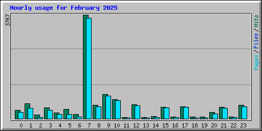 Hourly usage for February 2025