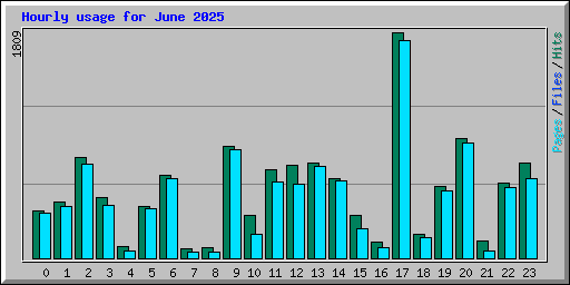 Hourly usage for June 2025