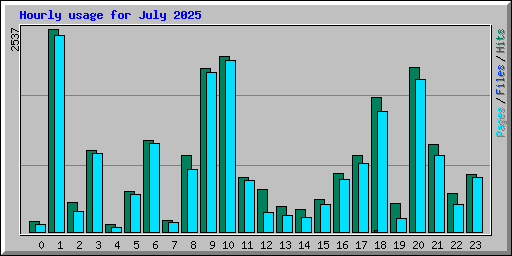 Hourly usage for July 2025