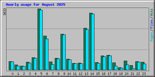 Hourly usage for August 2025