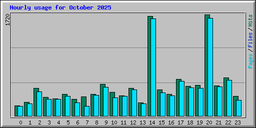 Hourly usage for October 2025