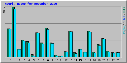 Hourly usage for November 2025